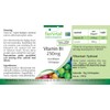 Fairvital Vitamin B1 (Thiamine) 250 mg - 120 Capsules -