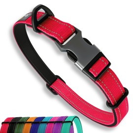 Strong Dog Collar for Small Dogs Red Reflective Adjustable Padded Dog Collar Aluminum V Ring Safety for Dogs