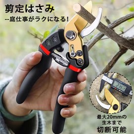 ZHEJIA Gardening Scissors, Branch Cutting Scissors, Compact Pruning Scissors, Easy to Grasp, Sharp and Crispy, Comes with Safety Lock, Rust Resistant, Lightweight, Anti-Slip, Easy to Use for Women,