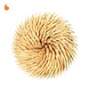 Urbanstrive Sturdy Safe Toothpick Holder with 800 Natural Wood Toothpicks