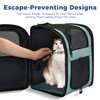 Apollo Walker Dog & Cat Carrier Backpack for 4-18lb Pets
