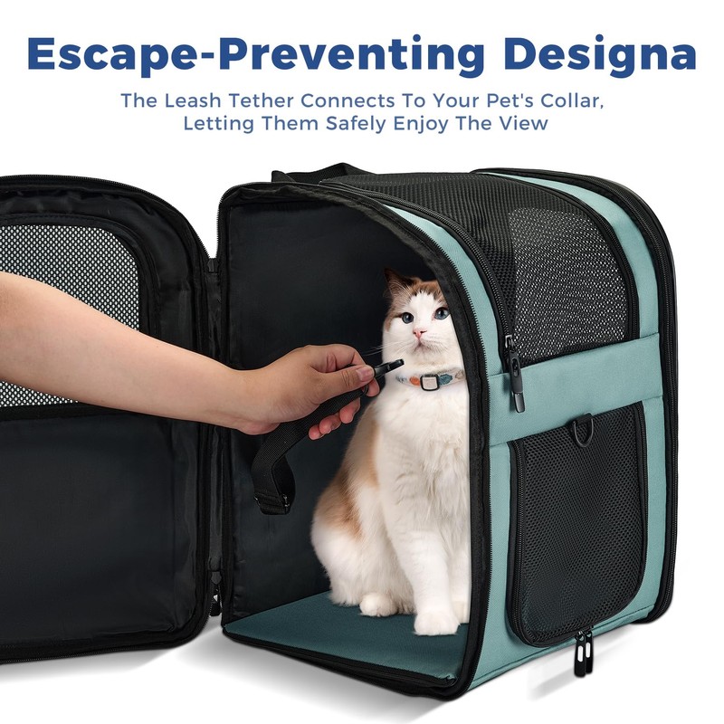 Apollo Walker Dog & Cat Carrier Backpack for 4-18lb Pets