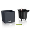 Lechuza Cube Colour 14 13384 Herb Pot, High-Quality Plastic, Includes