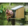 Wooden Squirrel Feeder