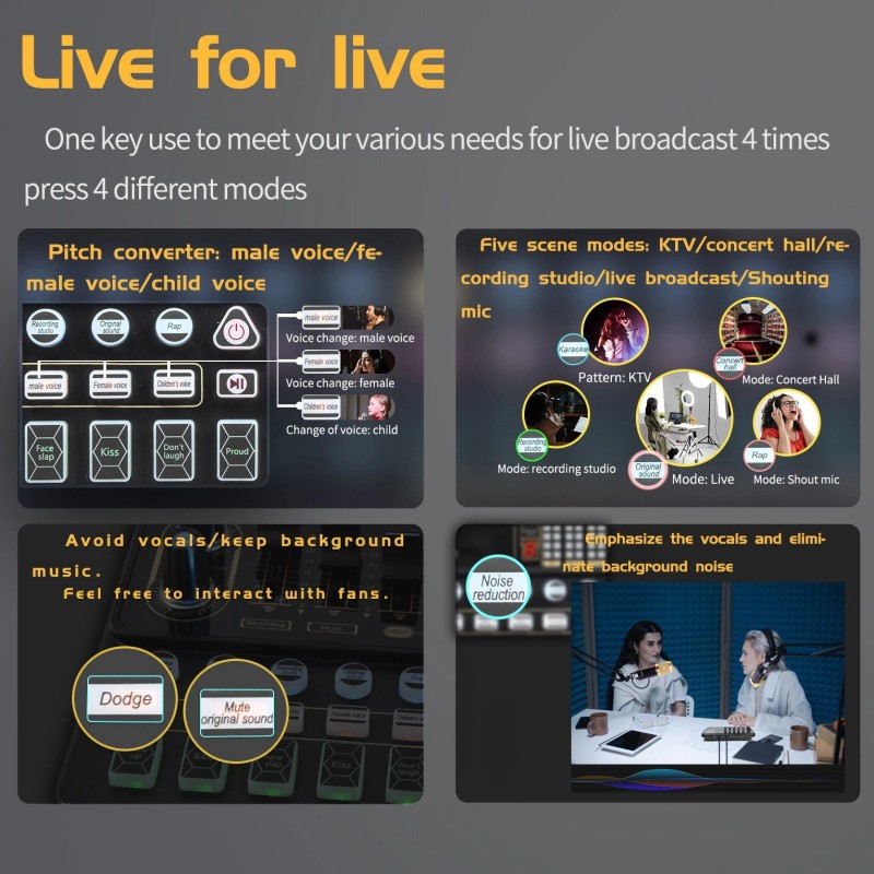MadHornets V10 Live Sound Card & M800 Condenser Microphone for