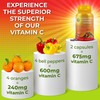 Whole Food Vitamin C Complex - 1450mg Organic Berries -