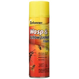 ZEP FWH-16 Yellow Jacket Wasp Control Foam Spray, 16-Ounce