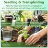 Clear Nursery Pots with Drainage 3.5 Inch: 100 Pack See