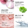 NIGHTINGALE CEPA CICA AMPOULE