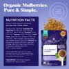Navitas Organics Mulberries, 8 oz. Bag, 8 Servings — Organic,