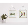 Glass Frame for Pressed Flowers, Leaf and Artwork - Hanging