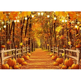 DULUDA 8x6 FT Fall Backdrop Autumn Maple Leaf Path Pumpkin Photo Shooting Background Natural Autumn Thanksgiving Party Decoration Adult Portrait Baby Shower Banner Supplies Photo Booth Prop