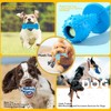 Juego de Juguetes para Perros de 10 Piezas - Juguetes