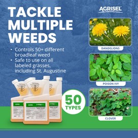 Agrisel 3 Way Max Weed Killer, Eliminate 50+ Weeds, Safe on Grass, Weed Spray, Pet Safe, Low Odor, Easy Mixing, Includes 3-Pack of Agrisel Protective Gloves, 32 Ounces