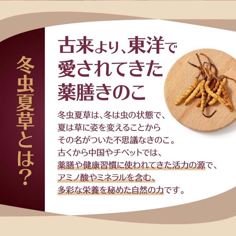 Seedcoms Cordyceps Supplement, Generously Uses Cordyceps Fruiting Body (Approximately 12