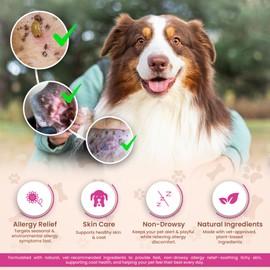 Pawfalls Allergy Relief Chews for Dogs – Itchy Skin, Hot Spots & Seasonal Allergy Support – Anti-Itch Supplement with Omega-3, Quercetin & Probiotics – Salmon Flavor – 120 Soft Chews
