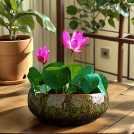 MaiQidd Lotus Bowl Planter, Lotus Bowls for Planting in Water Indoors, Bonsai Bowl Lotus Flower Seeds, Ceramic Planters for Indoor Plants (Green)