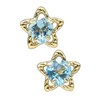Four Leaf Clover: Ma712 Star Earrings, Blue Topaz, K10 Gold,