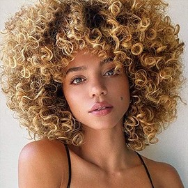 ColourfulPanda Afro Wig Brown Blonde Brazilian Synthetic Brazilian Kinky Curly Natural Hair for Women, Kinky Curly with Fringe Short Wigs for Black Women (Brown Blonde)