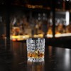 Nachtmann Dancing Stars Bossa Nova Collection Whiskey Tumblers | Set