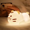 Tiger Silicone Lamp Portable Cute Bedside Night Light with Lithium