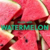 Tree Hut bare Moisturizing Shave Oil Watermelon