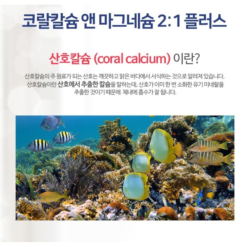 Coral Calcium Magnesium 2:1 Plus Vitamin D 120 Tablets Zinc