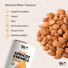 SILO Nuts Organic Bitter Apricot Kernels - USDA Certified Organic
