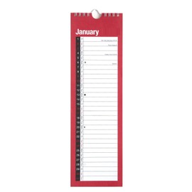 2025 Month to View Spiral Bound Wall Planner Organiser Calendar (SLIM - 3801)