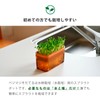 OKA Vegetable Sprout Pot, Brown (Broccoli, Sprout, Home Garden, Pea