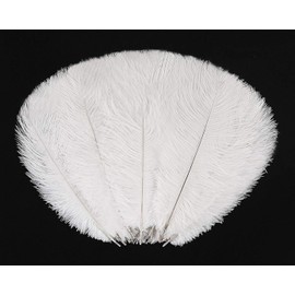 Hollosport 30PCS Bulk White Ostrich Feathers 12-14 Inches for Centerpieces Party Wedding Home Decorations Dream Catchers Vases Crafts