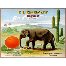 WONDERFULITEMS Elephant Playing with A Orange Crate Label California Fruit Company Vintage Poster REPRO