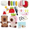 KBIBCK Crochet Set for Beginners, 2 Pieces Capybara Crochet Set