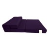 Danfuton Twin Lounger Folding Foam Mattress, Foldable Sofa Bed Sit