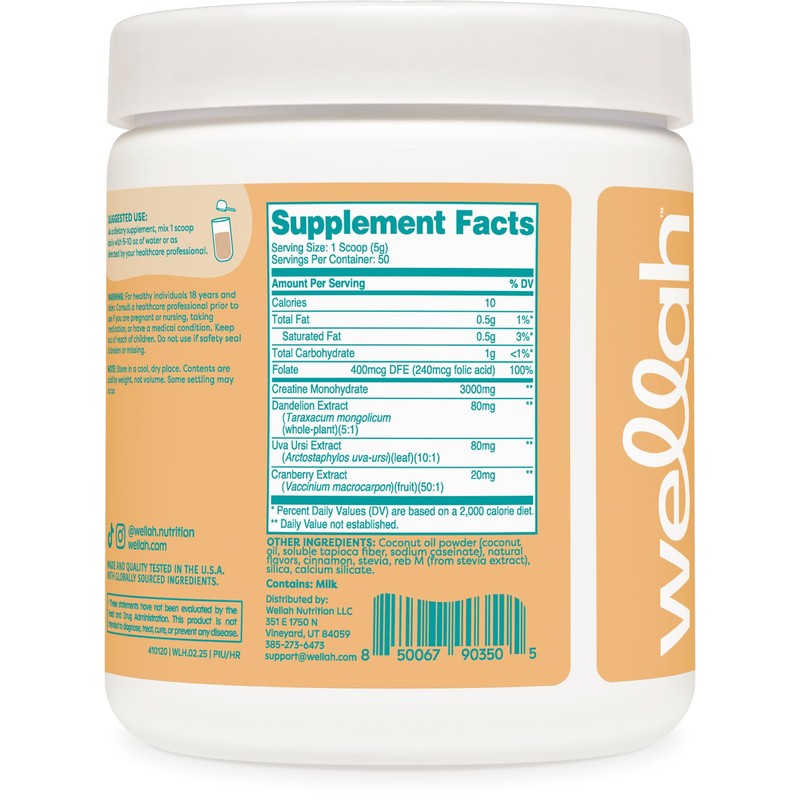 Wellah Pump-It-Up Creatine Horchata Flavored (50 Servings) - Creatine Monohydrate