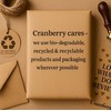 Cranberry 50 Pack Eco-Friendly Compostable Clear Bags for Greetings Cards