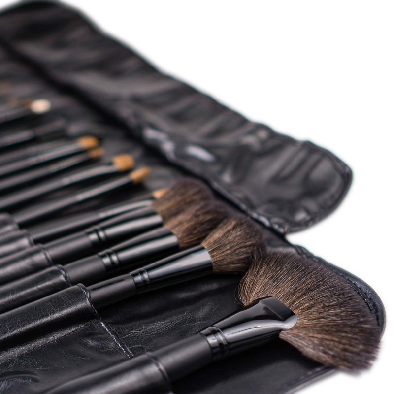SHANY Studio Quality Natural Cosmetic Brush Set with Leather Pouch,