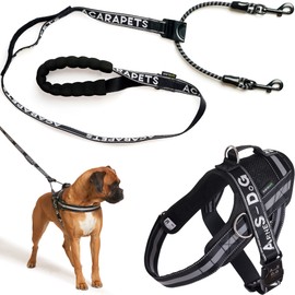 ACARAPETS Dog Harness and Lead, 3 Rings, Padded and Breathable with Elastic Double Leash, Reflective, Adjustable, for Walking and Running (Black, M with Leash)