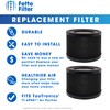 Fette Filter - True HEPA Replacement Filter, Compatible with TaoTronics