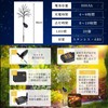 SKD Sakura Solar Garden Light, Illumination, Recessed Outdoor, Zero Electricity
