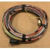 Onan Genuine Cummins Onan Energy Command (EC-30) Wiring Harness, 25'