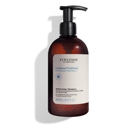 L'Occitane Pure Fresh Shampoo, 16.9 fl oz (500 ml), Scalp Care, For Summer
