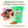 Grubblies - Black Soldier Fly Larvae for Chickens - Chicken