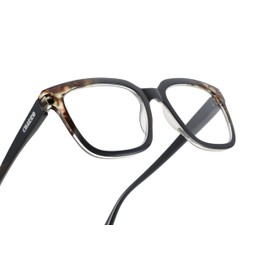 CHARRO Lesebrille Original 2 Grau +3,50