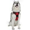 rabbitgoo Dog Harness, No-Pull Pet Harness with 2 Leash Clips,