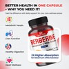 Ultra Herbs Premium Berberine with Cinnamon, Milk Thistle - Promotes