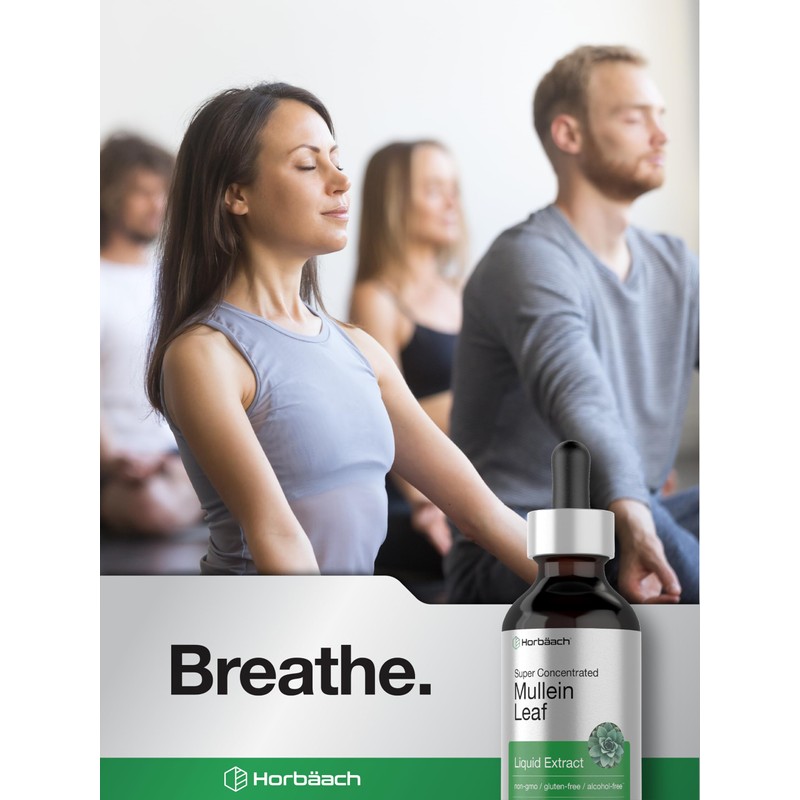 Horbäach Mullein Leaf Extract Drops | 2 fl oz |