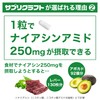 Supplecraft Niacinamide Supplement, Vitamin B3, 250 mg, 120 Capsules