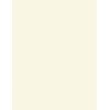 Warm White Cardstock - 8.5 x 11 inch - 80Lb