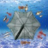 Foldable Nylon Fishing Net Shrimp Minnow Crab Baits Cast Mesh